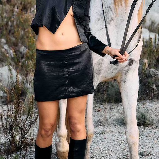 Dark Chocolate Skirt