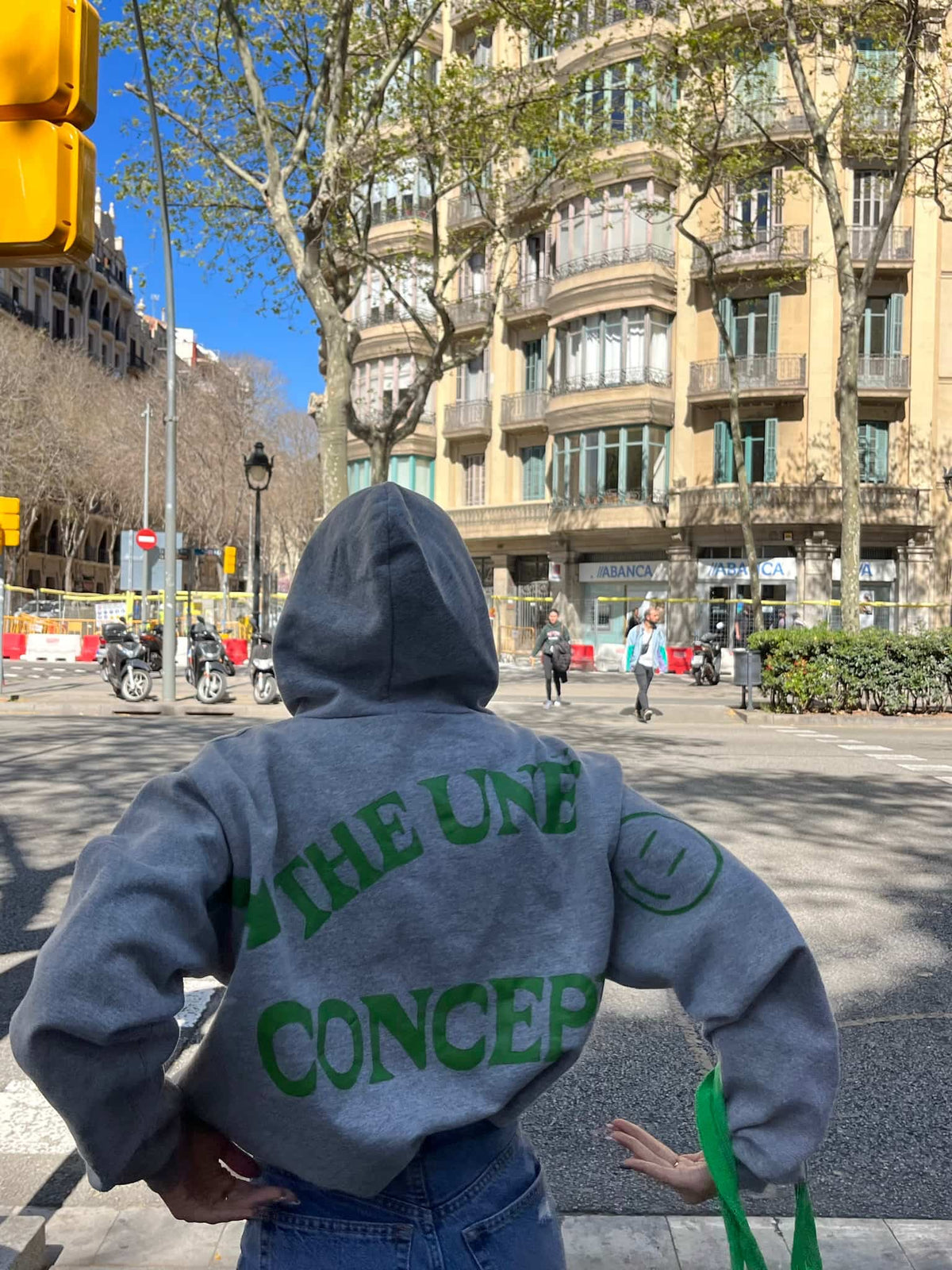 The Hoodie | Sudadera gris con capucha