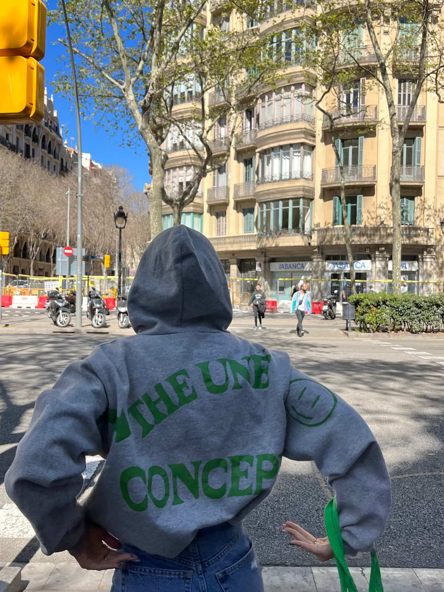 The Hoodie | Gray Hooded Sweatshirt